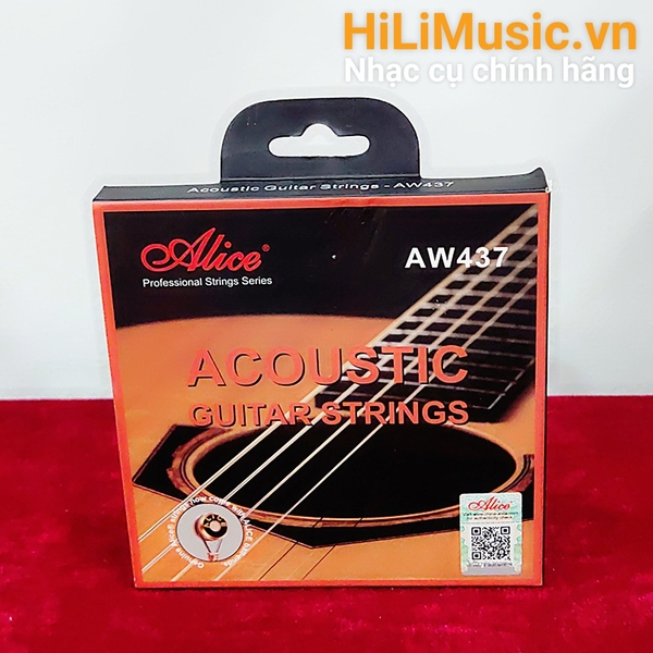 day-guitar-acoustic-alice-aw437