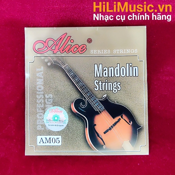 day-dan-mandolin-am05