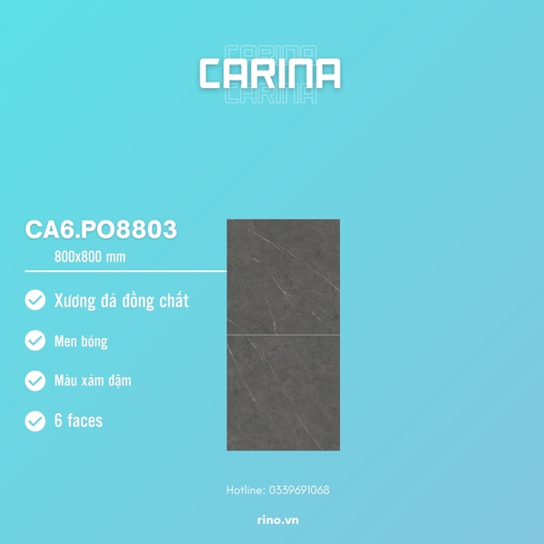 gach-carina-ca6-po8803
