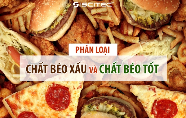 PHÂN LOẠI CHẤT BÉO XẤU VÀ CHẤT BÉO TỐT CHO NGƯỜI TẬP GYM