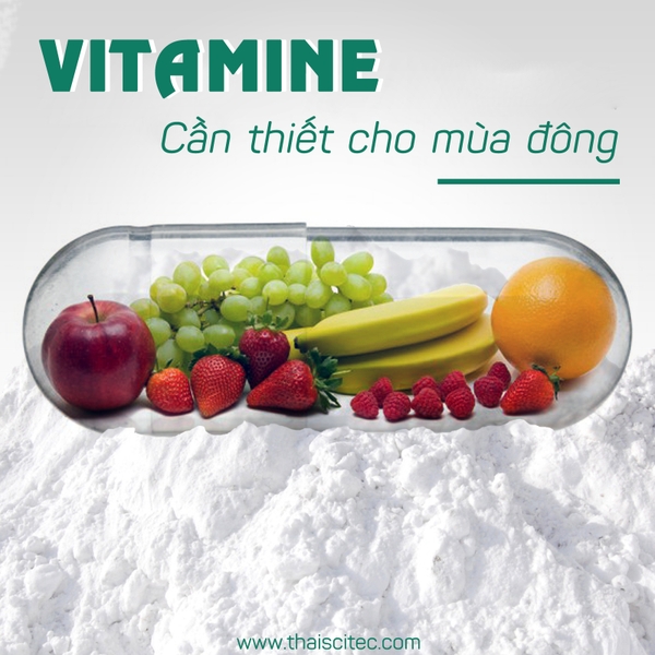 TOP 5 LOẠI VITAMIN CẦN THIẾT ĐỂ NẠP VÀO MÙA ĐÔNG