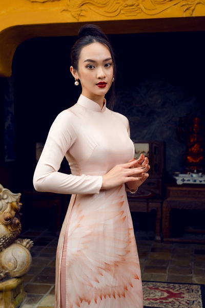 Traditional Vietnamese dress with pink cranes pattern