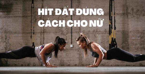 Cách hít đất đúng cách cho nữ mới bắt đầu đơn giản đúng kỹ thuật