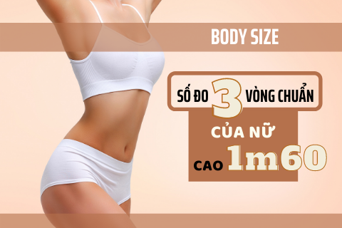 Số đo 3 vòng chuẩn của nữ cao 1m60