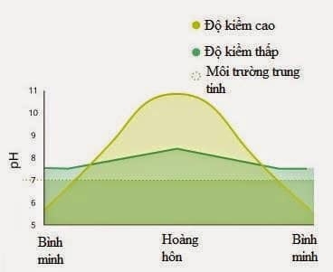 Kiềm trong ao tôm là ?