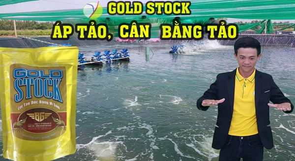 KIỂM SOAT TẢO TRONG AO NHƯ THẾ NÀO LÀ HỢP LÝ ?