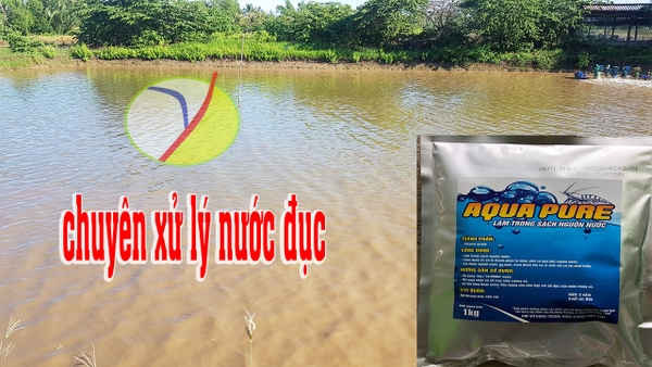 CÁCH XỬ LÝ NƯỚC ĐỤC ?