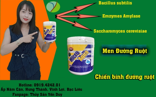 NGUYÊN NHÂN VÀ GIẢI PHÁP KHI TÔM BỆNH ĐƯỜNG RUỘT ?