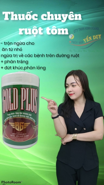 ĐẶT TRỊ GAN