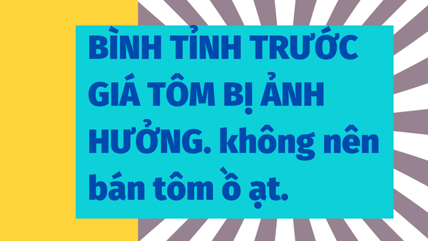 BÌNH TỈNH TRƯỚC GIÁ TÔM BỊ ẢNH HƯỞNG DỊCH BỆNH