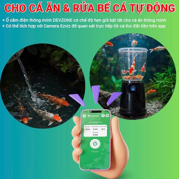 Ổ Cắm Thông Minh DEVZONE – Giải Pháp Cho Người Nuôi Cá Koi Thông Minh