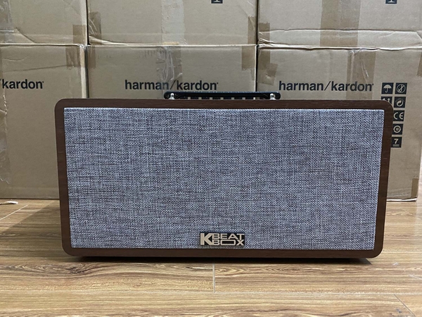 Mở hộp và hát karaoke với dàn loa karaoke di động Acnos CS390