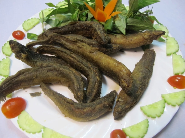 ca-chach-dong-kho-nghe