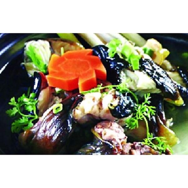 luon-ham-sa