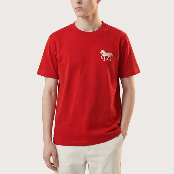 Áo Thun Fapas Regular Gift