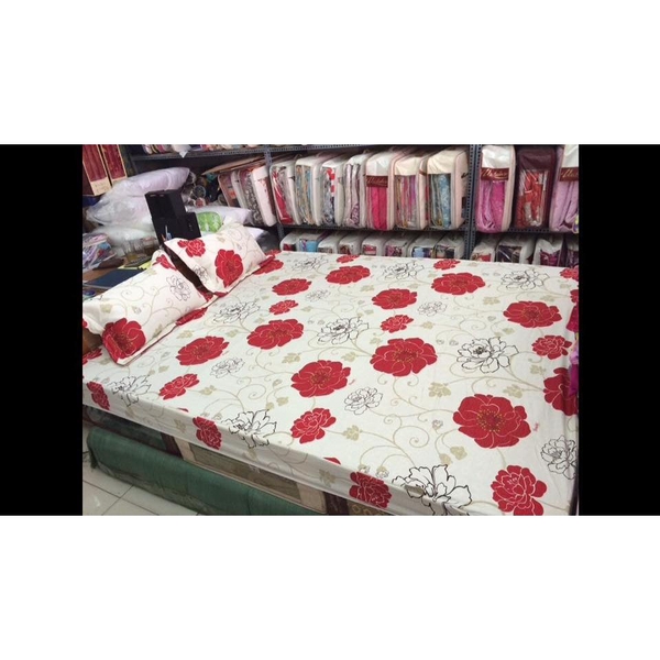 Ga chun Thắng Lợi 1m6