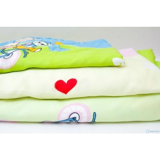 Vỏ chăn cotton nhung đẹp