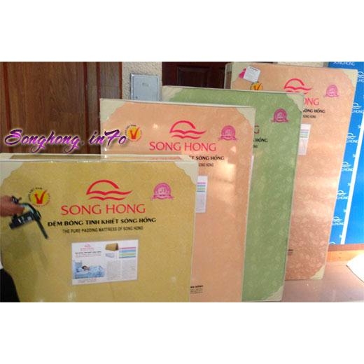 Đệm Sông Hồng 1m8 x 2m x 9F