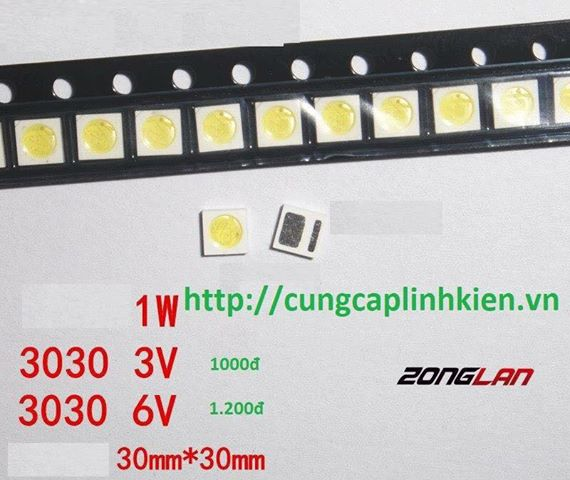 den-led-3030-6v-1w