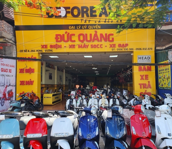 Xe đạp điện chính hãng tại Hải Phòng