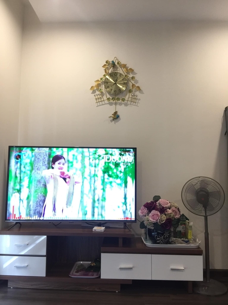 Cho thuê chung cư cao cấp Symphony 01 phòng ngủ full đồ xịn giá 9 triệu/ tháng. Liên hệ Mr Hiếu: 09868379936.