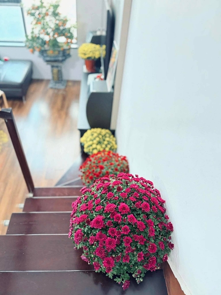 Siêu phẩm Duplex Valencia Garden KDT Việt Hưng, Long Biên.