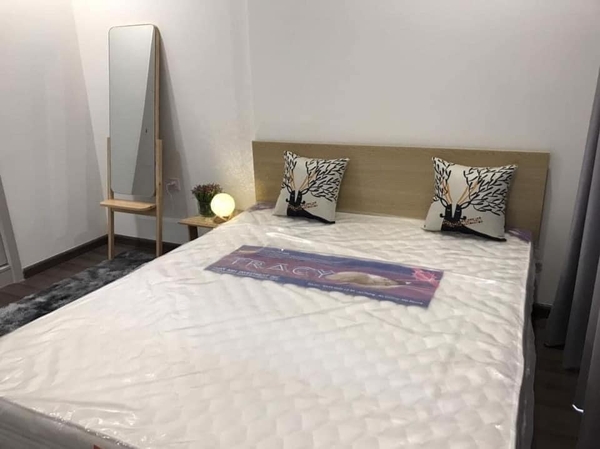 Cho thuê căn hộ Vinhomes Symphony, Long Biên. 40m. giá 9triệu. LH: 0961910403