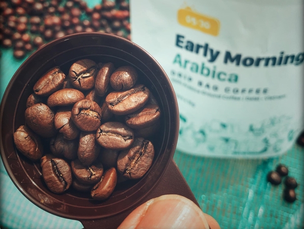 CÙNG EARLY MORNING KHÁM PHÁ HƯƠNG VỊ CÀ PHÊ TỪ ĐÂU MÀ CÓ? - PHẦN 2