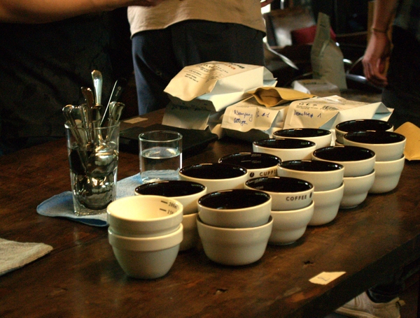 CÙNG EARLY MORNING KHÁM PHÁ HƯƠNG VỊ CÀ PHÊ TỪ ĐÂU MÀ CÓ? - PHẦN 3