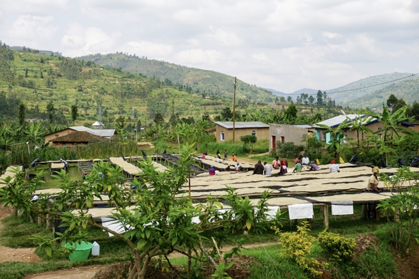 Coopac Rulindo, Rwanda