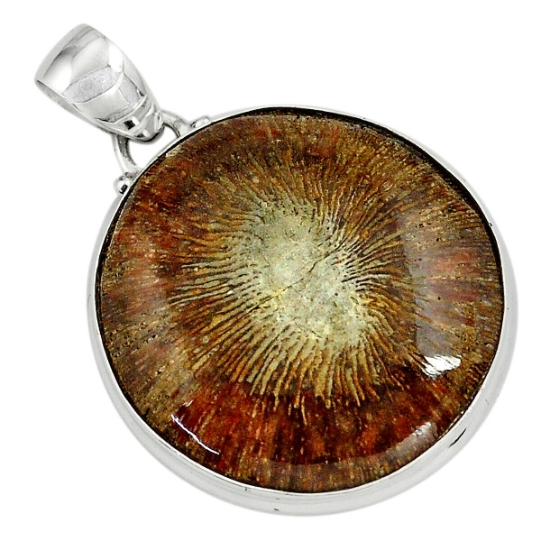 Fossil Coral