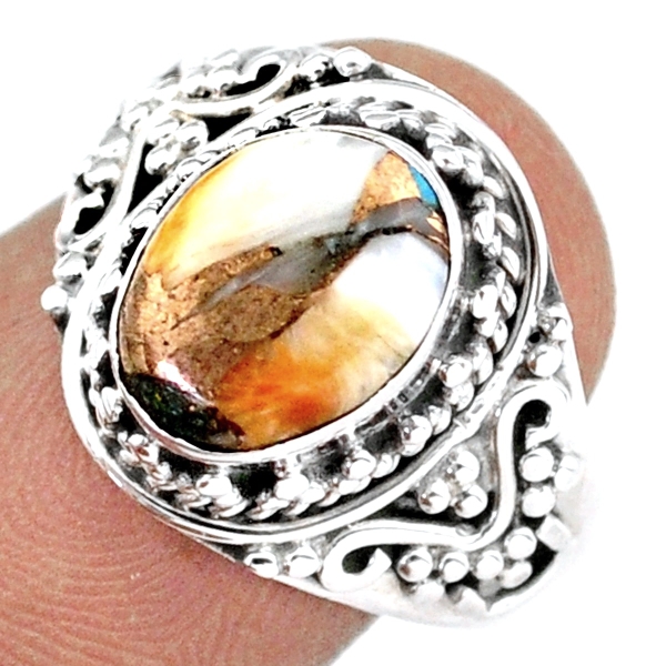 Spiny Oyster