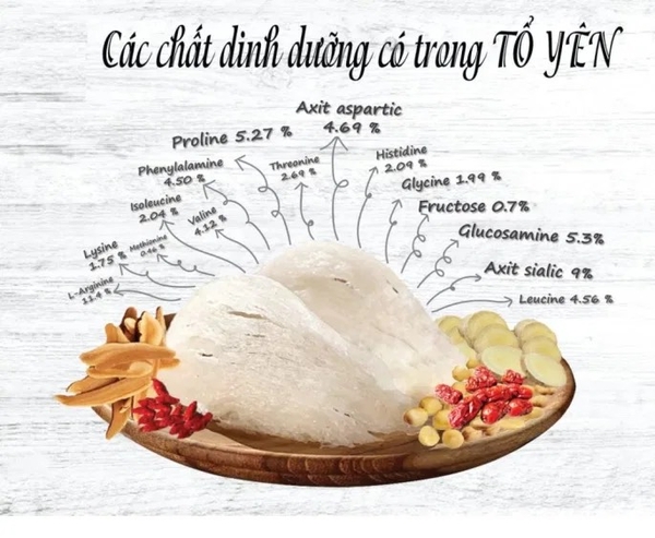 Chất dinh dưỡng trong tổ yến