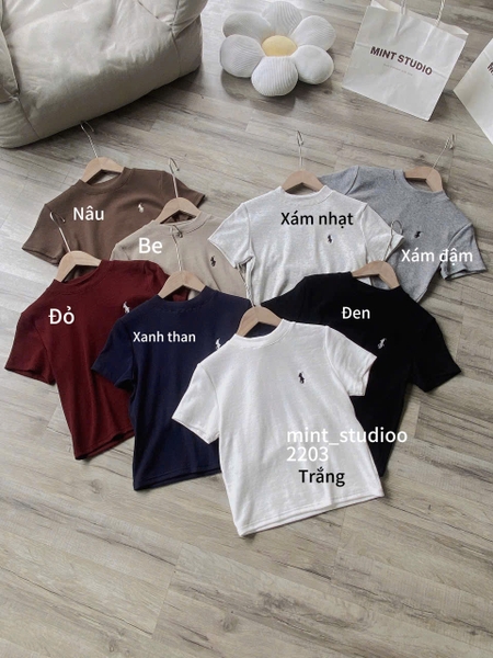 ÁO BABYTEE THÊU NGỰA CỔ 3CM T&T MÃ 2203