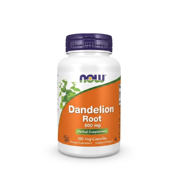 Now Dandelion Root 500mg - Thải Độc Và Hỗ Trợ Chức Năng Gan
