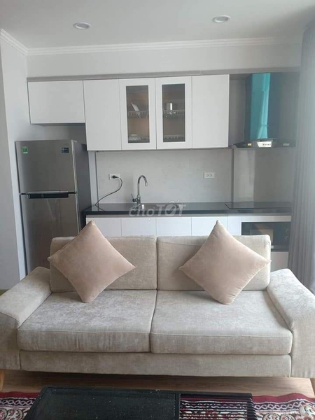 Cho Thuê Duplex Trung Tâm Quận Ba Đình 50m² 1PN