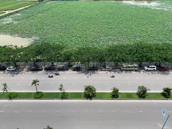 Chính chủ cho thuê Vinhomes Symphony 2PN+2VS 66m2