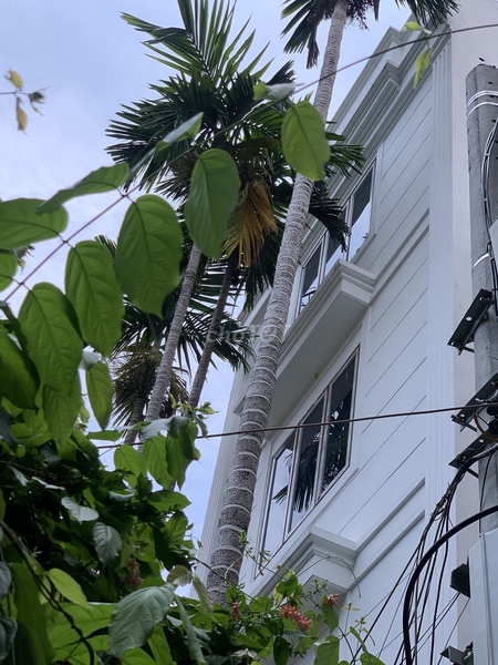 Bán nhà 3 mặt tiền ngọc đại đại mỗ 31m2 4 ngủ