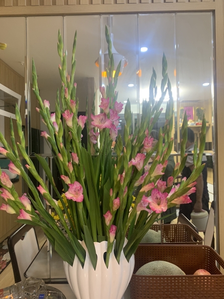 CHÍNH CHỦ BÁN NHÀ BONANZA DUY TÂN CẦU GIẤY