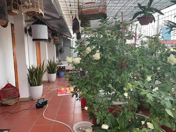 Nhà trong ngõ cách Nguyễn Ngọc Vũ 60m, diện tích 58m² x 7 tầng, Quận Cầu Giấy