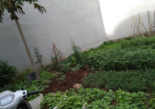 Bán Đất 50m2 Tây Mỗ,Nam Từ Liêm Đầy Đủ Tiện Ích