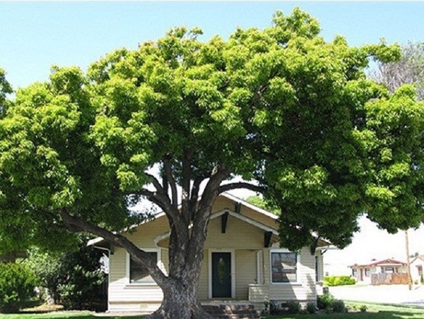 NHỮNG ĐIỀU KIÊNG KỴ KHI LÀM CỔNG NHÀ GIA CHỦ CẦN BIẾT