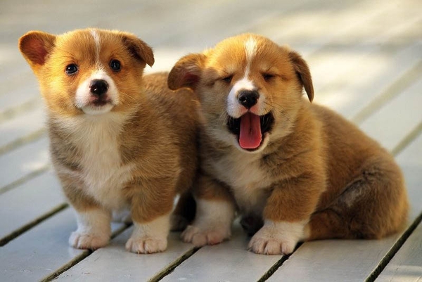 DẤU HIỆU NHẬN BIẾT NHÀ CÓ TÀ KHÍ, ĐỂ LÂU RẤT NGUY HIỂM