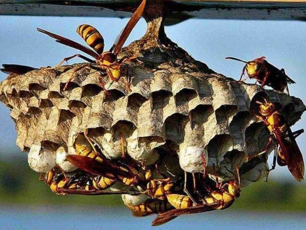 NHÀ CÓ PHONG THỦY TỐT NHƯ THẾ NÀO? 8 DẤU HIỆU CẦN BIẾT