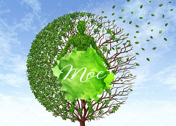 SƠN NHÀ CHO NGƯỜI MỆNH MỘC ĐEM LẠI MAY MẮN VÀ TÀI LỘC