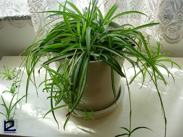 GIƯỜNG NGỦ ĐỐI DIỆN CỬA NHÀ VỆ SINH HÓA GIẢI NHƯ THẾ NÀO?