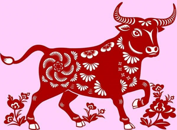 TUỔI QUÝ SỬU XÂY NHÀ NĂM 2025 CÓ ĐƯỢC KHÔNG? LÝ GIẢI