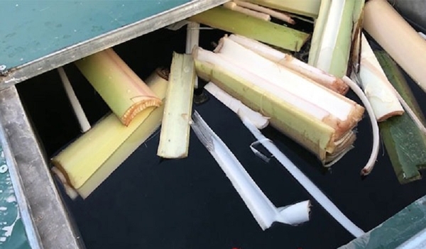 XỬ LÝ MÙI XI MĂNG BỂ NƯỚC MỚI XÂY BẰNG PHƯƠNG PHÁP ĐƠN GIẢN