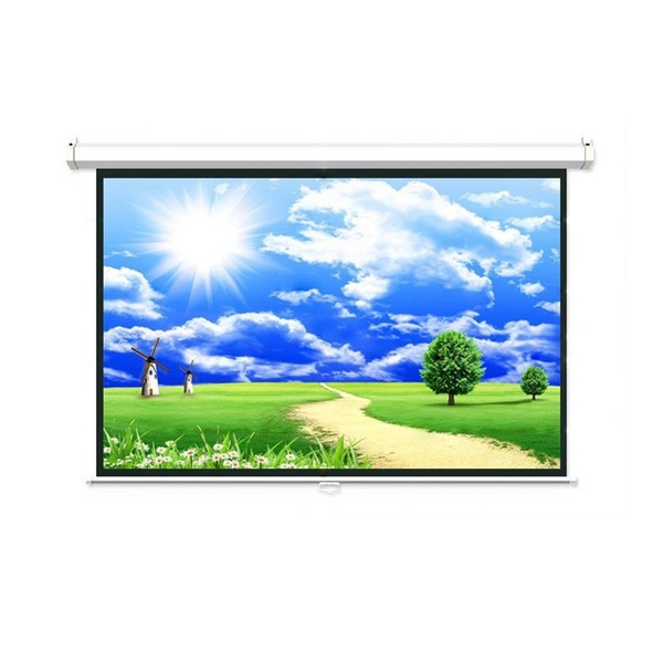 Màn chiếu treo tường Dalite P84WS 120 inch (213x213cm)