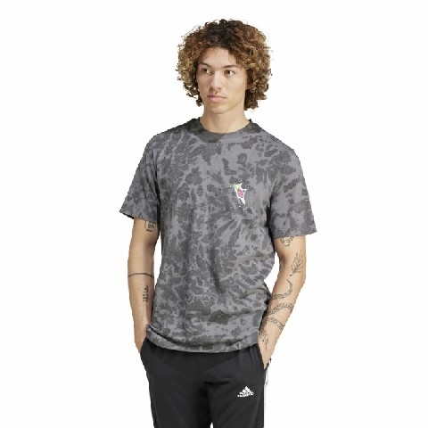 ao-phong-adidas-nam-chinh-hang-summer-fun-sneakers-graphic-mau-xam-japansport-ir